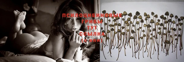 первитин Инсар