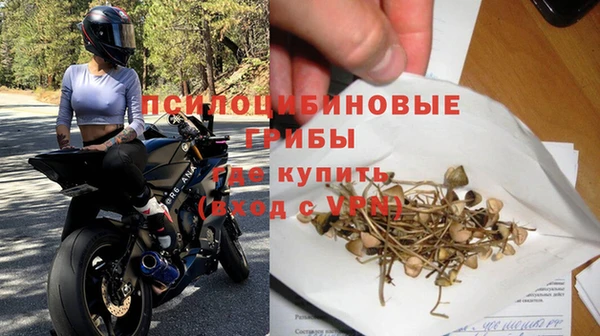 первитин Инсар