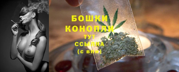 первитин Инсар