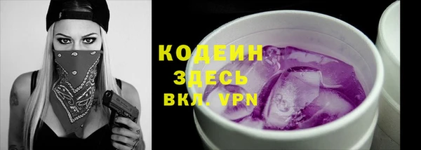 первитин Инсар