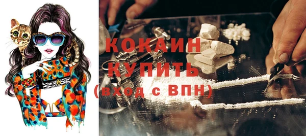 первитин Инсар