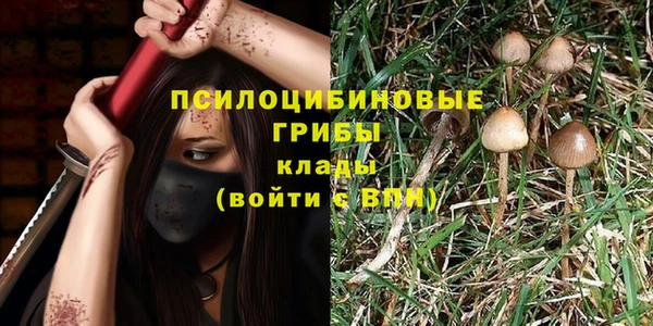 первитин Инсар