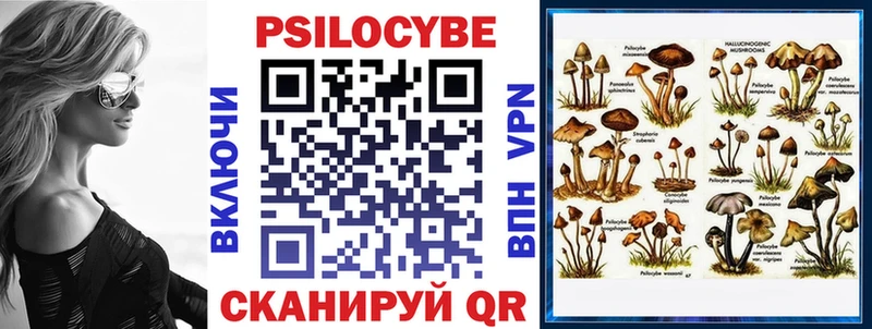 Галлюциногенные грибы Magic Shrooms  Купить  Шацк 